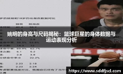 k1体育